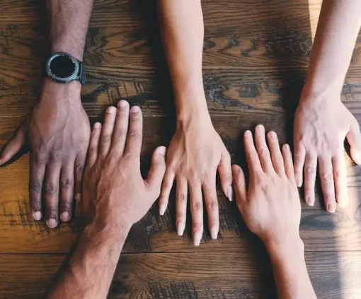 Diversitet