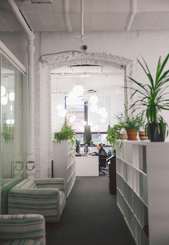 Hvidt kontor med planter
